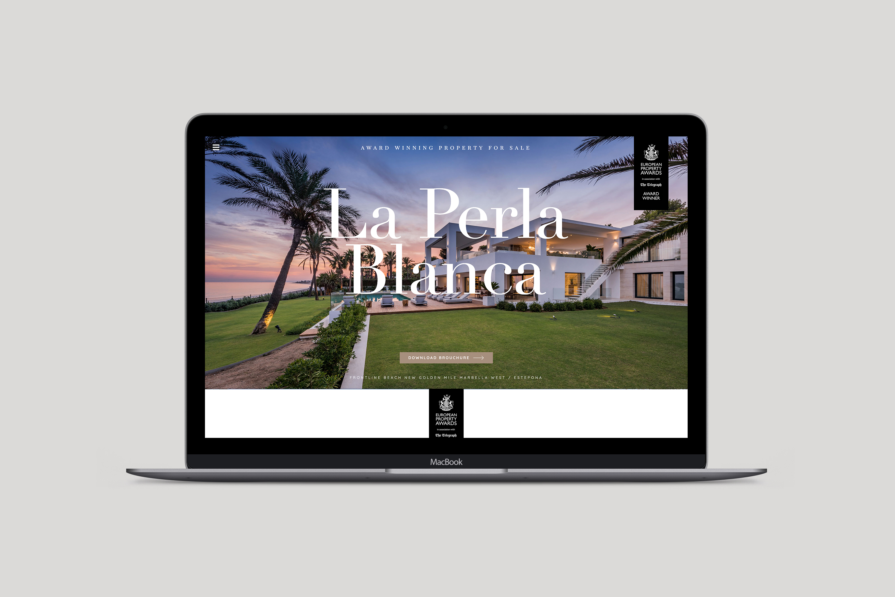Website Design